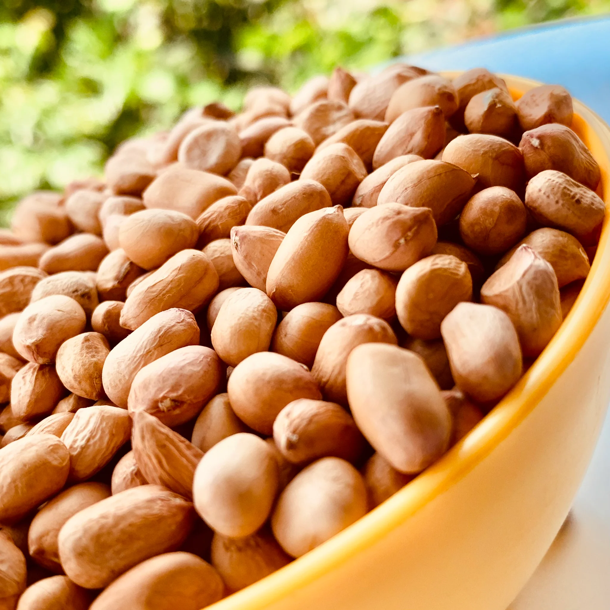 Raw Peanuts / பச்சை நிலகடலை